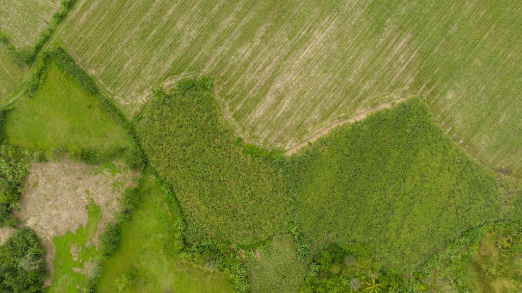 Stunning aerial view of green agricultural fields with unique patterns.